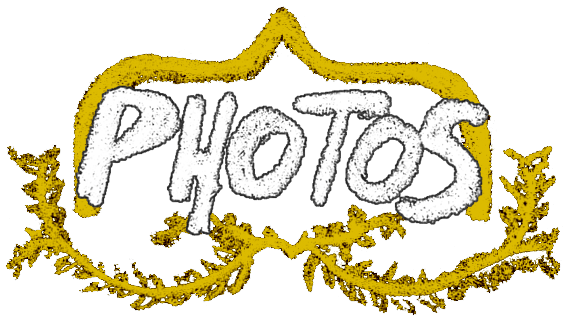 photos